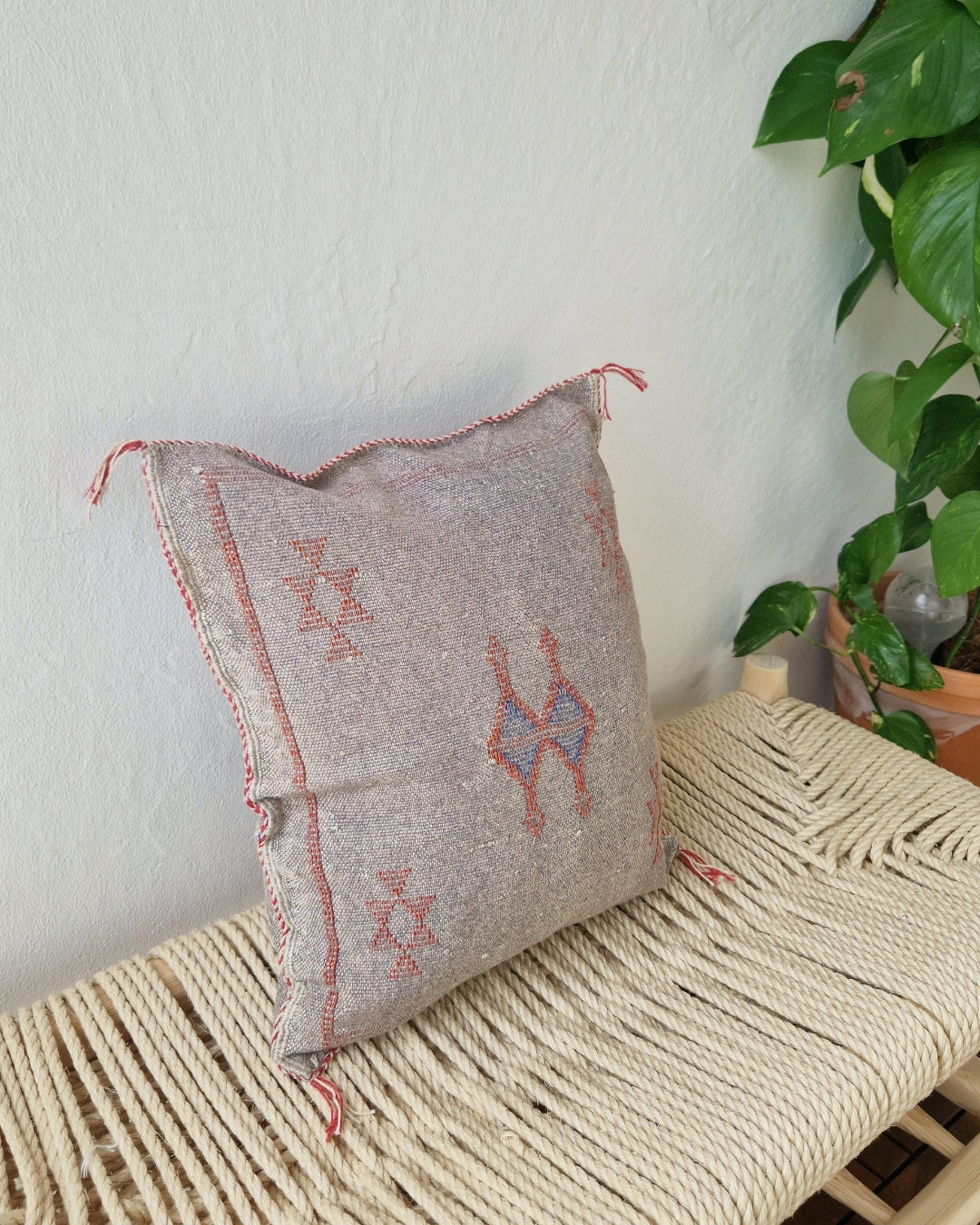 Kuddfodral Kaktussilke Sabra Najat – Brun