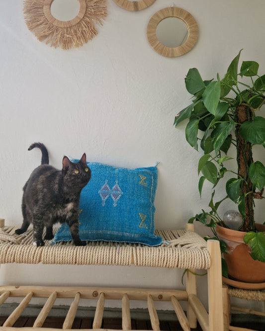 Kaktussilke Sabra Raha – Blå