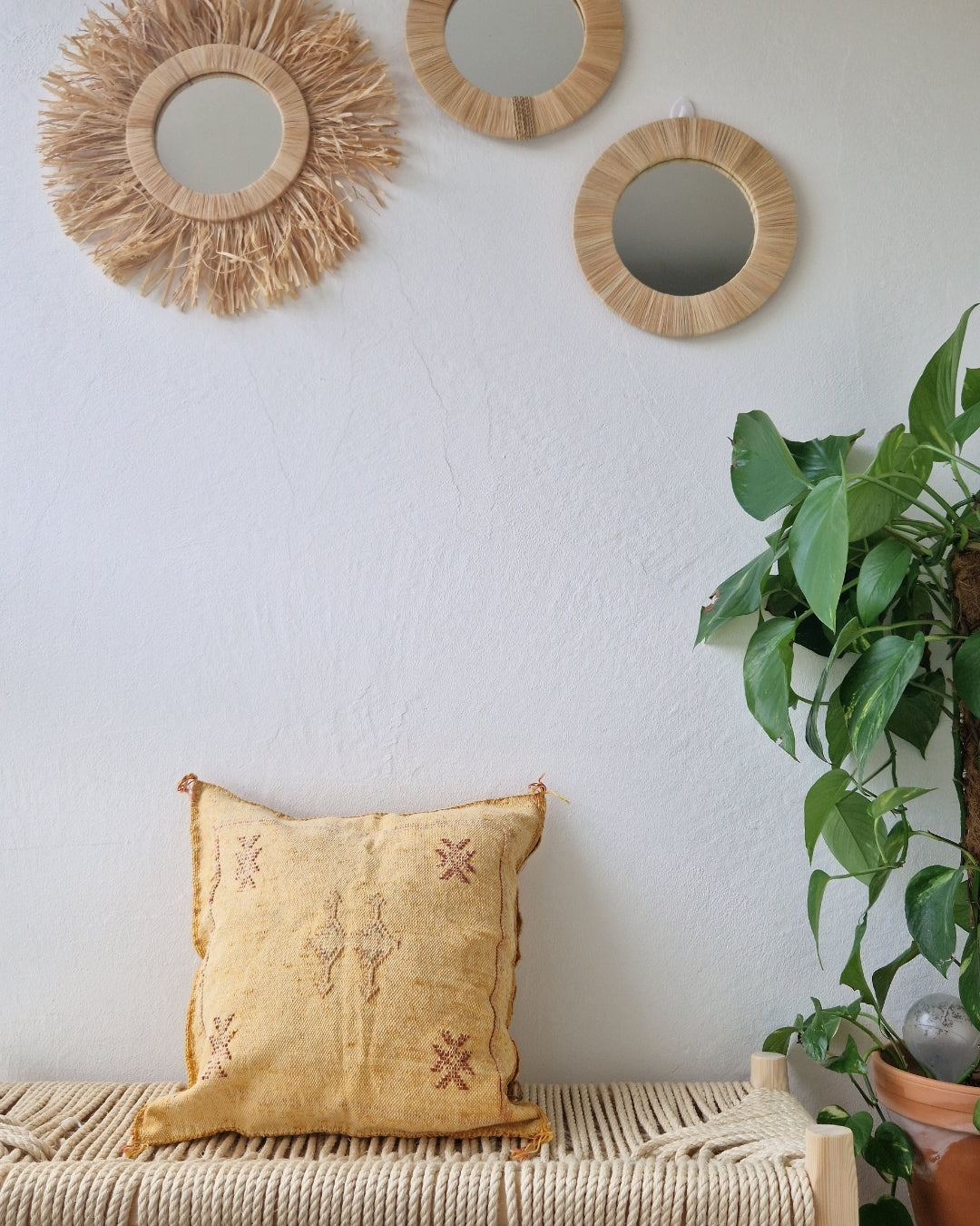 Kuddfodral Kaktussilke Sabra Hiba – Gul